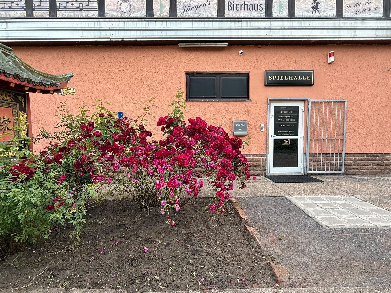 Eingang der Spielhalle Haldensleben – Masche 26a Eingang CT Spielhalle Haldensleben an der Masche 26a mit blühenden Rosen
